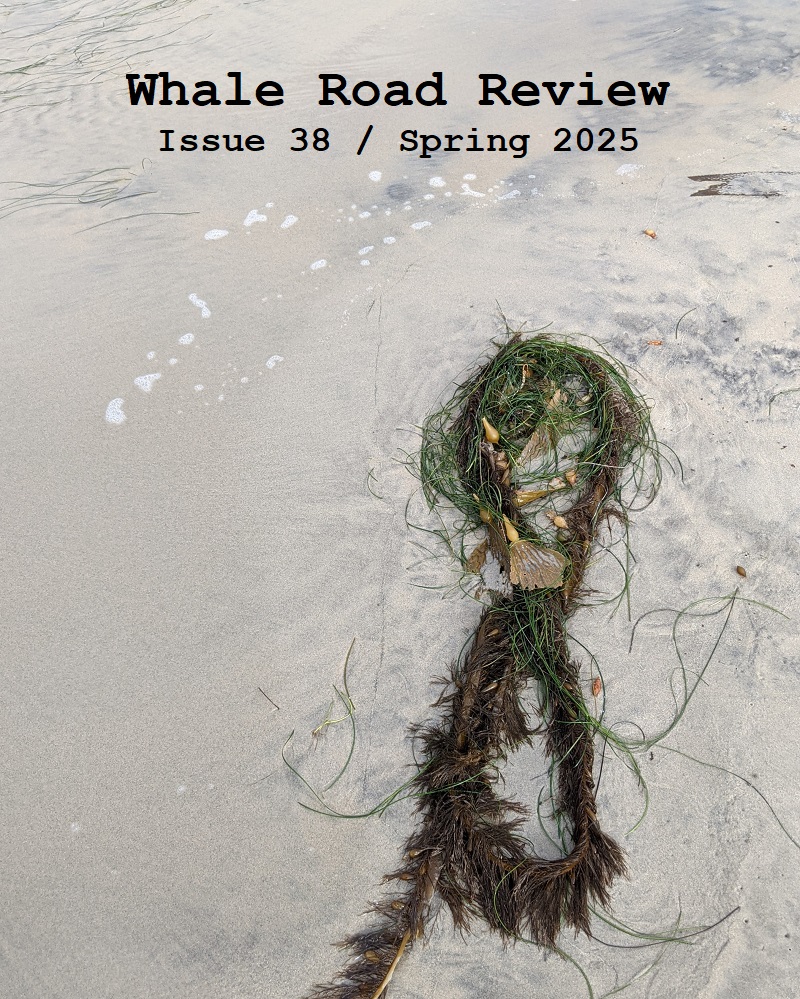 Issue 38 / Spring 2025 – Whale Road Review